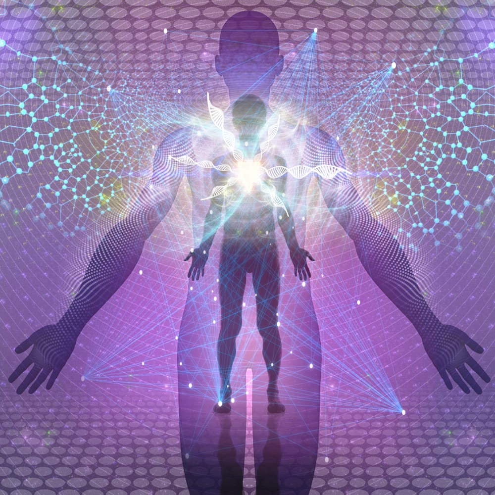 shutterstock_1051986263 png