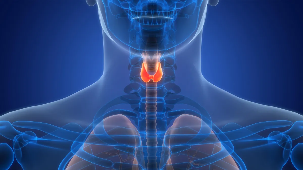 Thyroid Disease