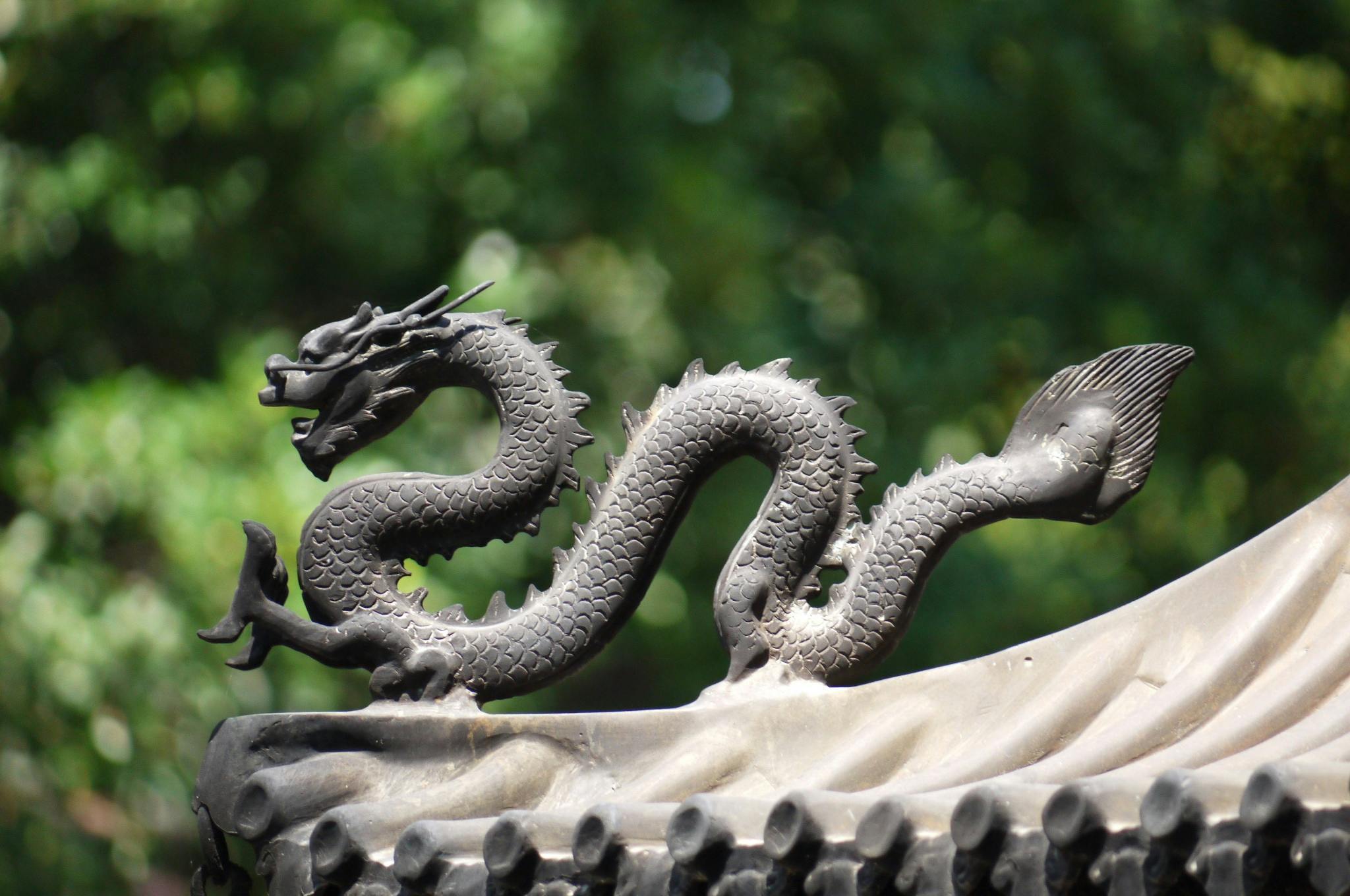 shaolin-kung-fu-training-china