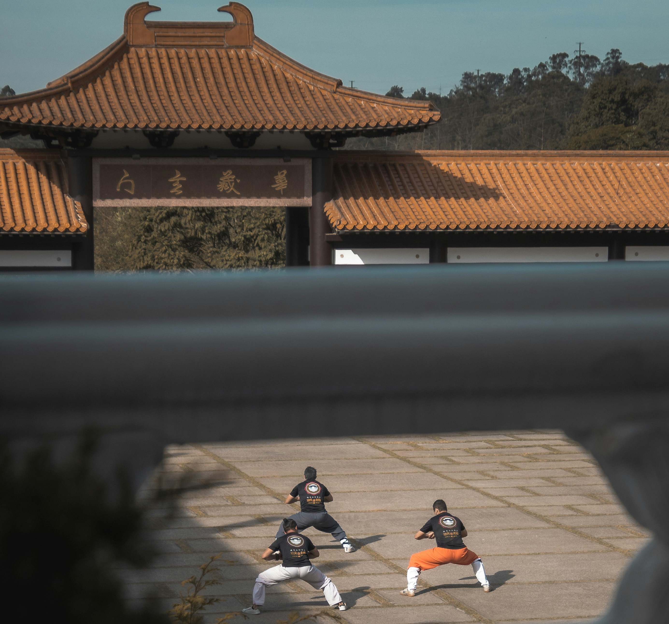 shaolin-kung-fu-training-china