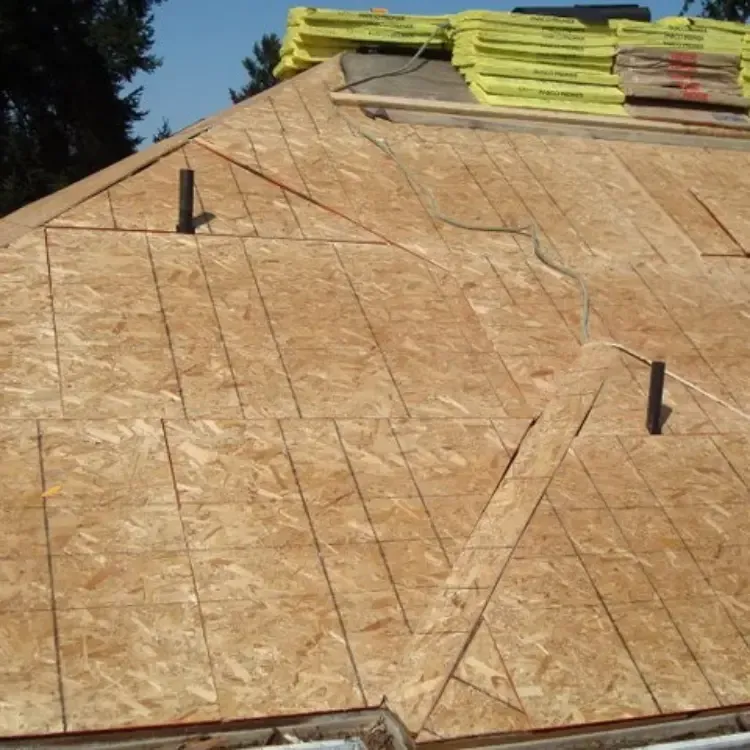 Olympia Roof Company