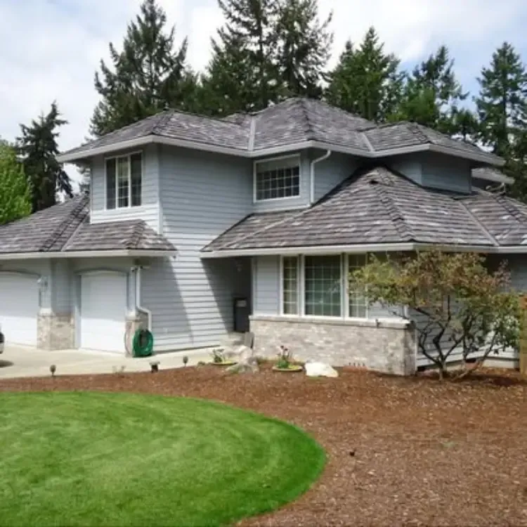 Olympia Roof repair