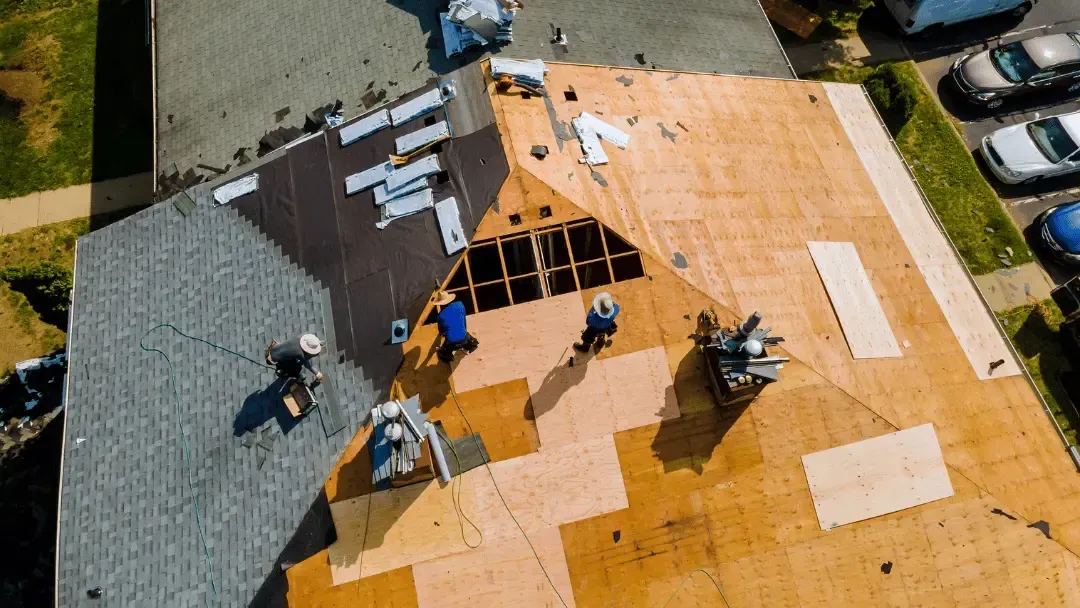 roof replacement in olympia