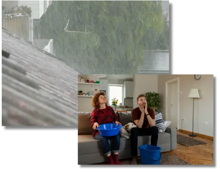 Roof Repair in Olympia