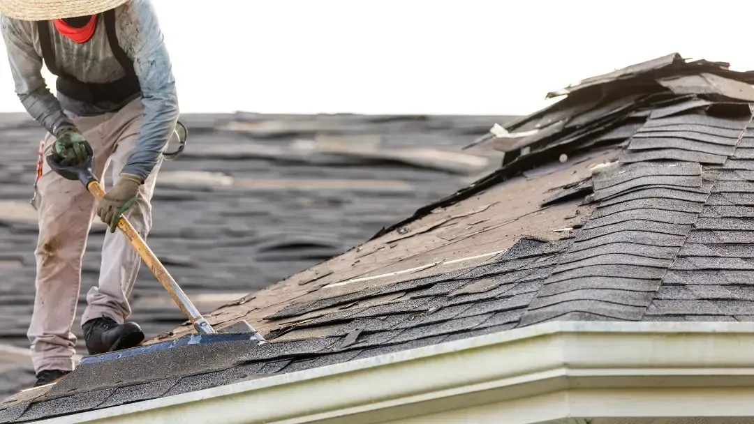 roof Replacement
