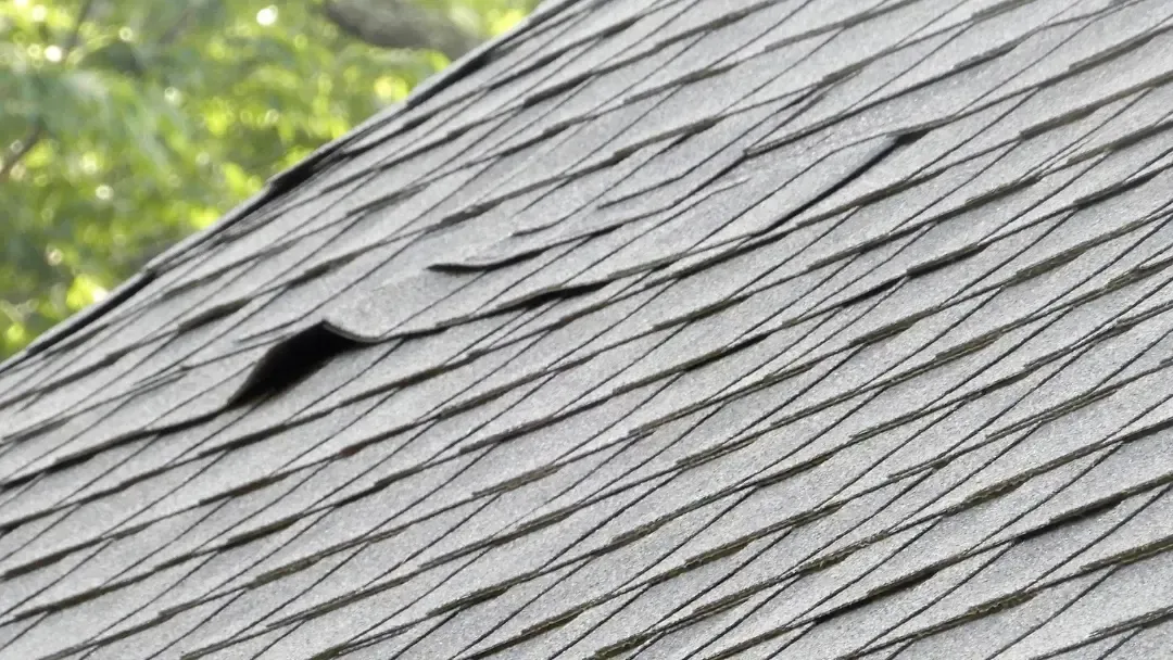 roof inspections in tumwater