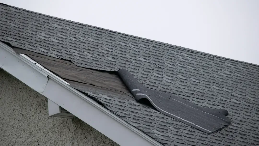 roof inspection in olympia