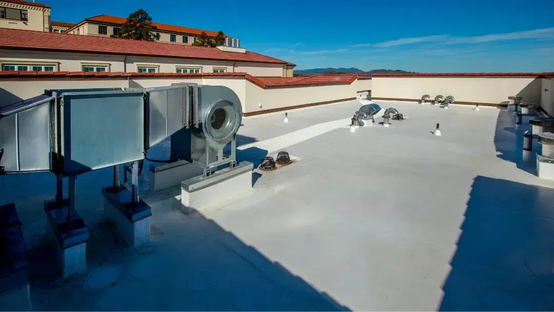 TPO Roofing 