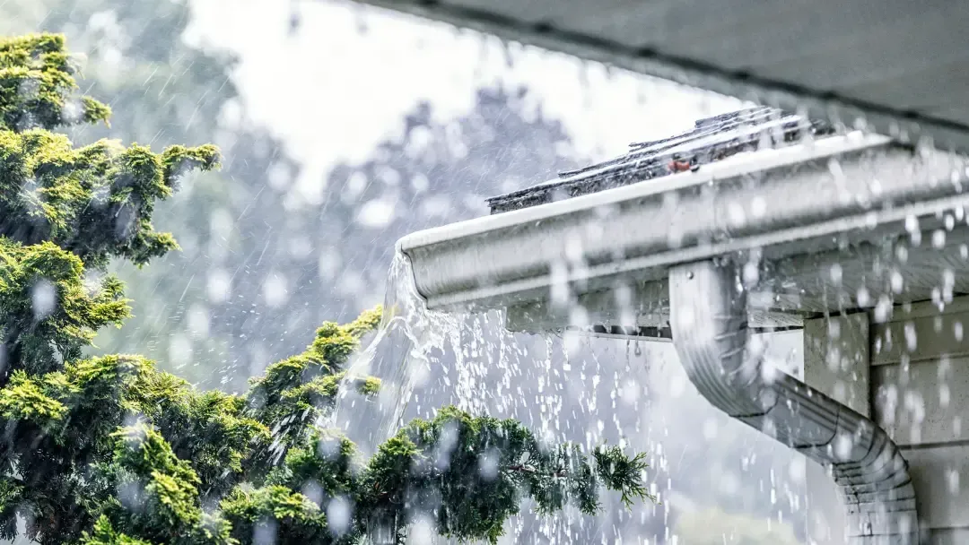 Gutter Replacement in Olympia, WA