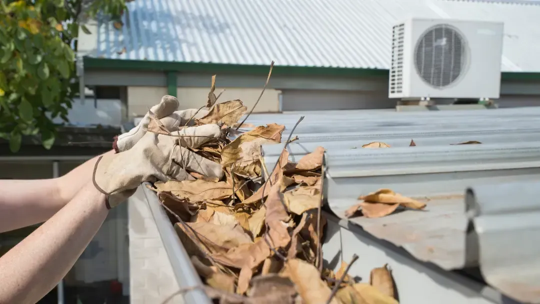 Gutter Cleaning in Olympia, WA