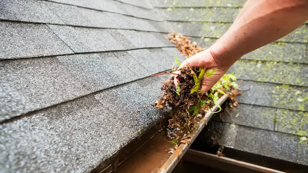 gutter installation in wa