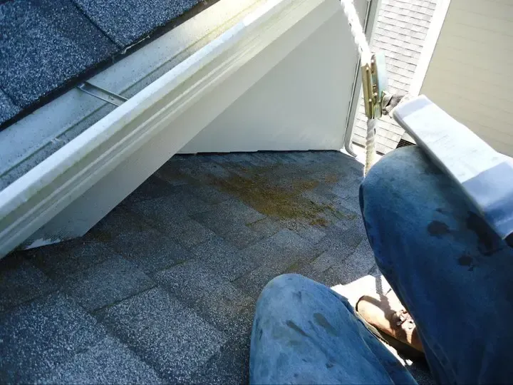 Three-Tab Shingles Olympia