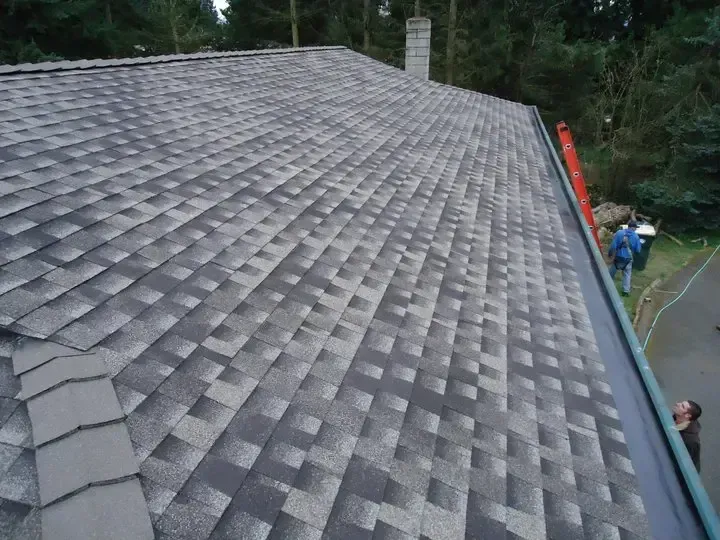 Asphalt Shingles in Olympia