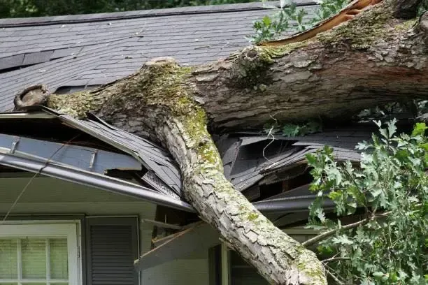 Emergency Roof Repair in Olympia, WA