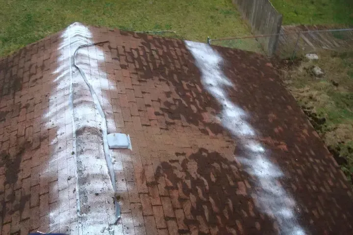 Roof Maintenance in Olympia, WA