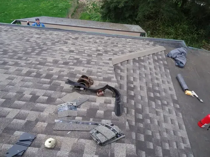 Asphalt Shingles in Olympia