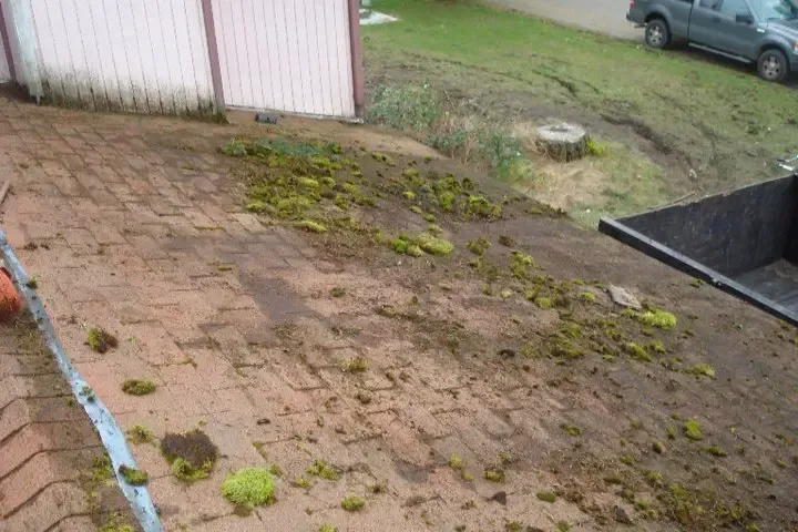 Roof Moss Removal in Olympia, WA