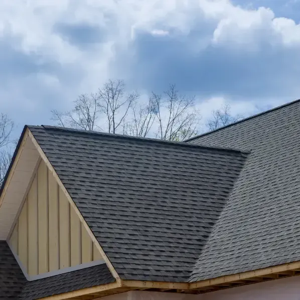 roof in olympia