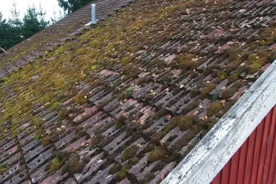 roof maintenance in lacey