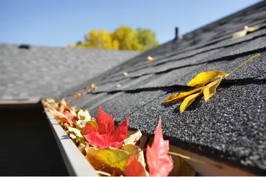 roof maintenance in lacey needed
