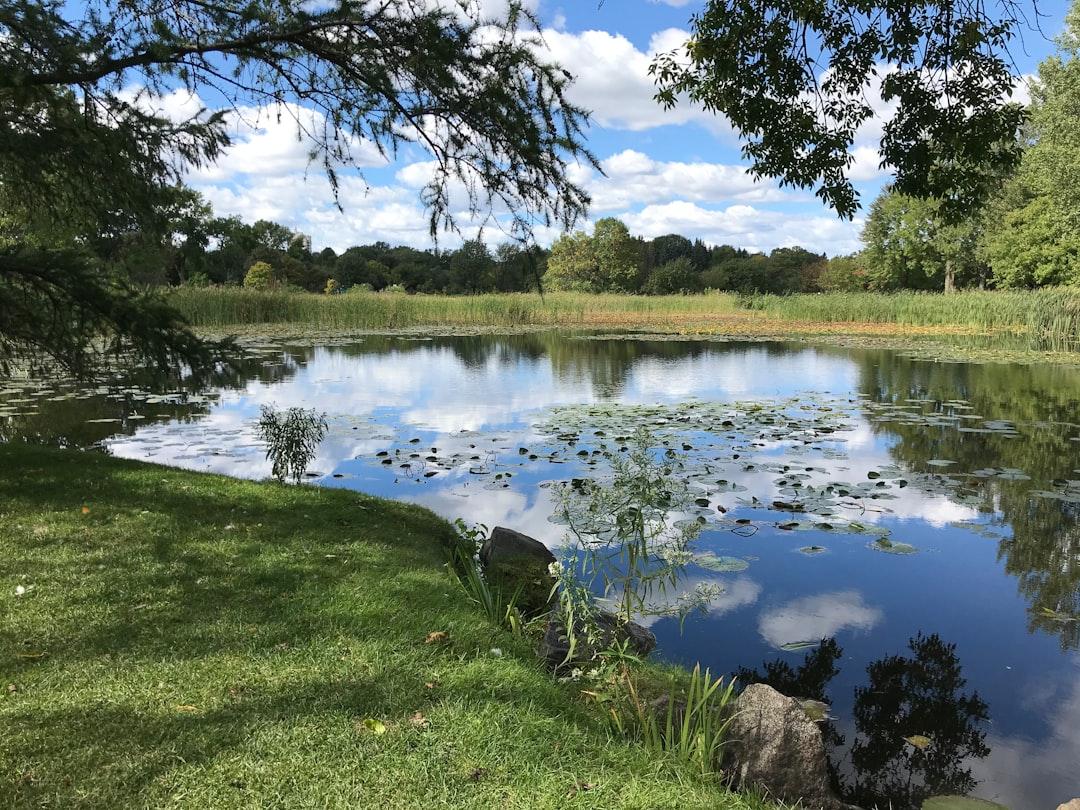 Woodland Creek Community Park