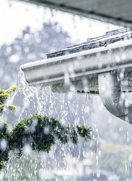 roofing company in Olympia, WA
