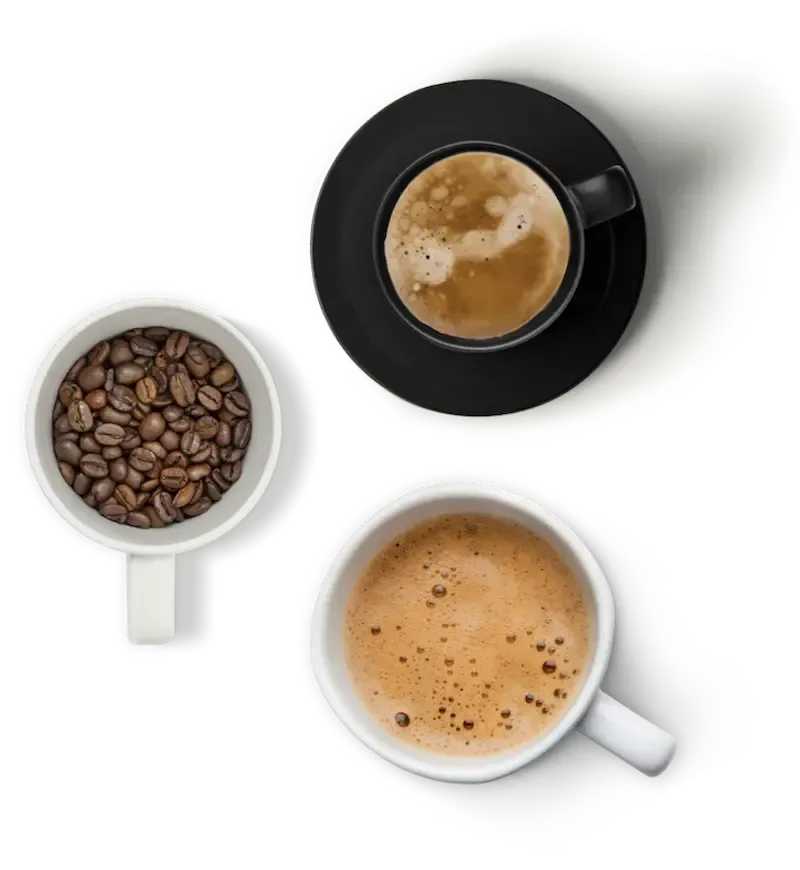 Close-up of an organic artisan latte with heart-shaped foam art at Dubb's Organic Coffee in West Hollywood