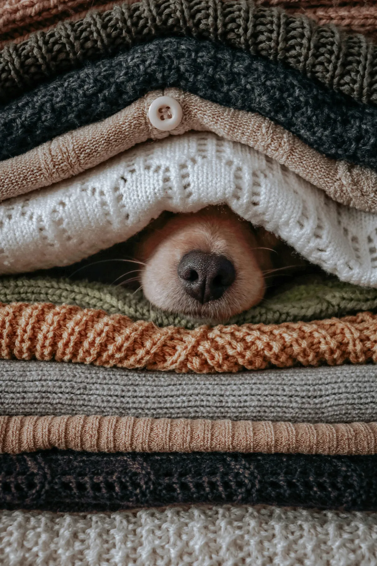 We all have winters