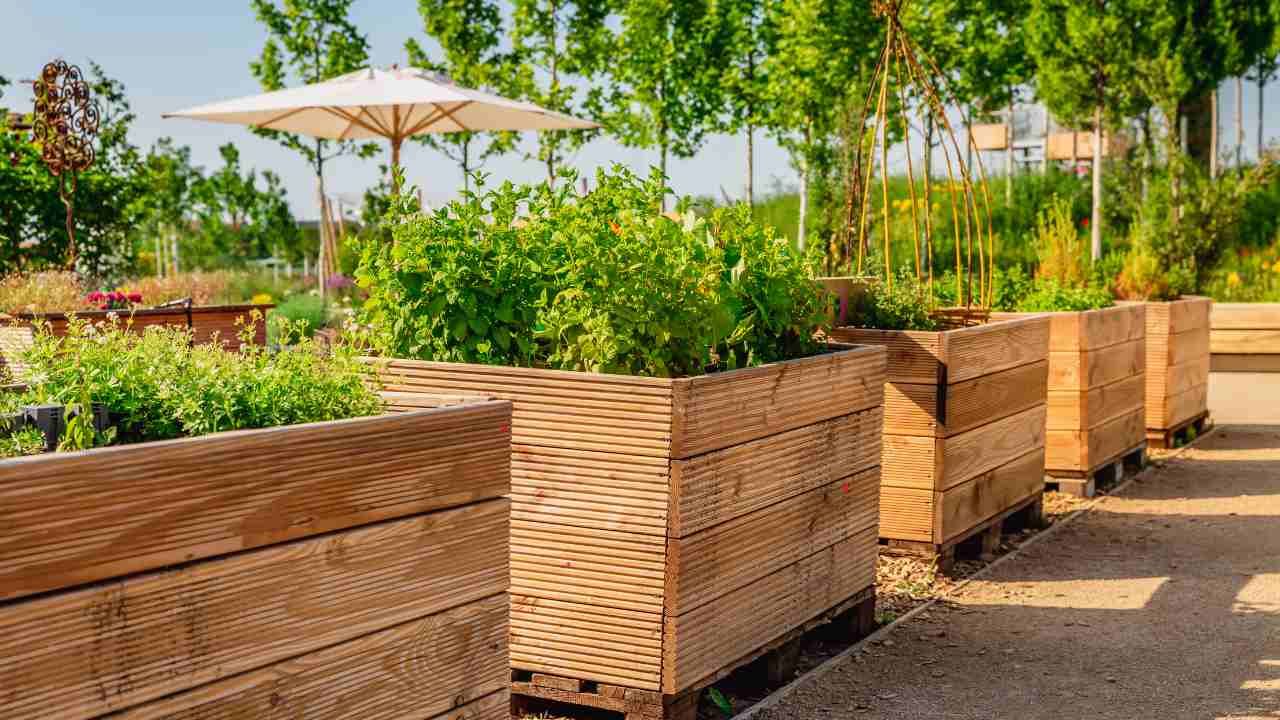 edible landscaping