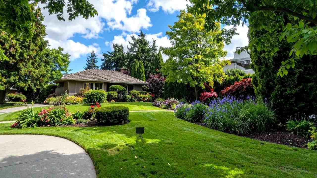 garden landscaping
