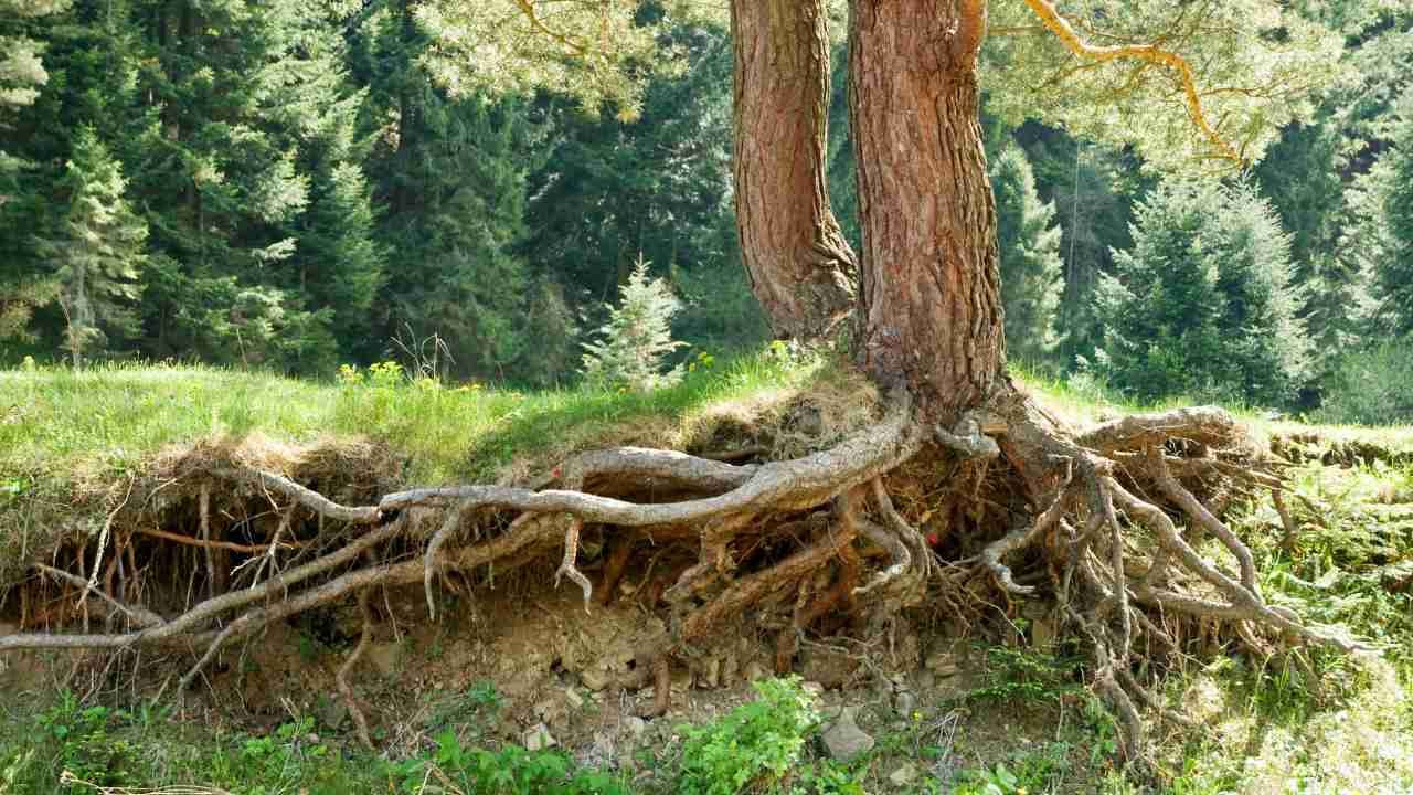 outdoor erosion control