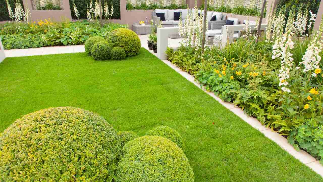 new lawn installation