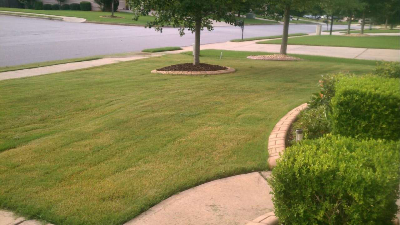 yard drainage