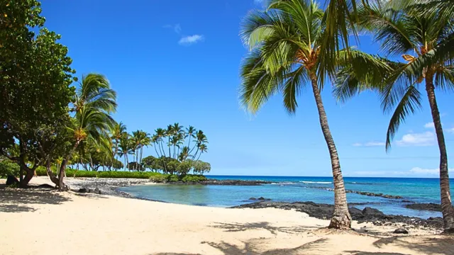 FairmontorchidHawaiiBigIsland