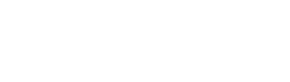 MAGNATE MX