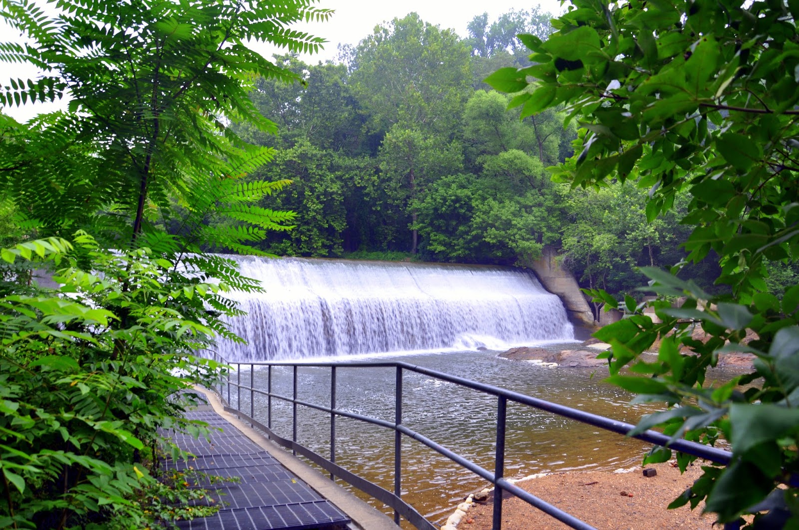 🌲 Exploring Patapsco Valley State Park: Why a Rental Car Makes the Adventure Easier | Black Label Rentals, Elkridge, MD