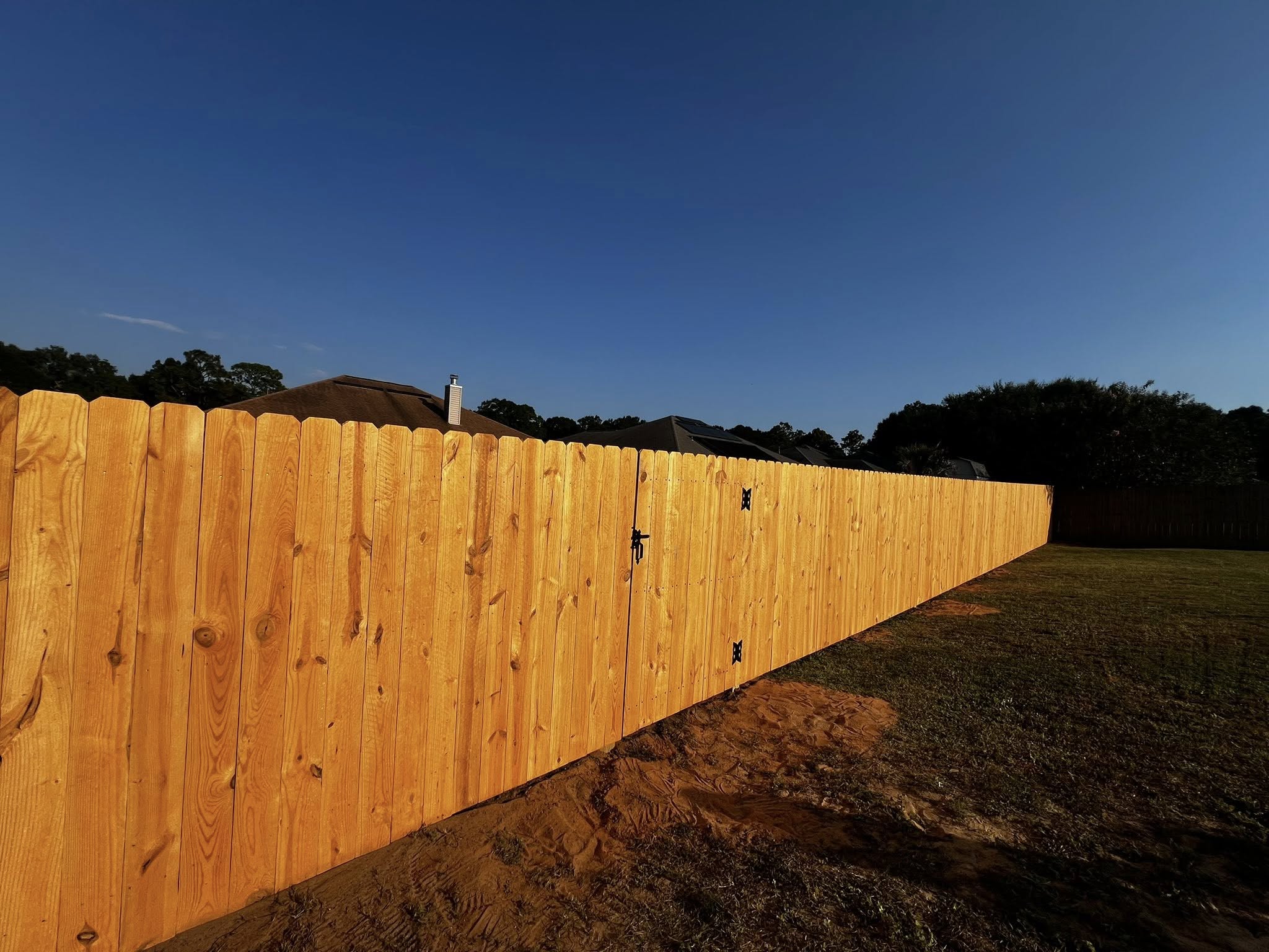 Fence Staining & Painting
