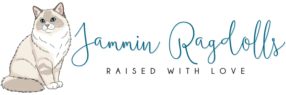 Jammin Rags Minnesota Ragdoll cattery Logo
