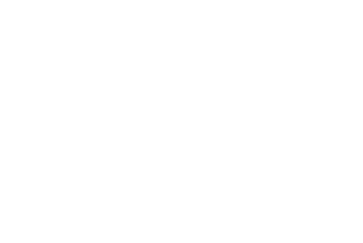 Sarasota Screen Enclosures Logo