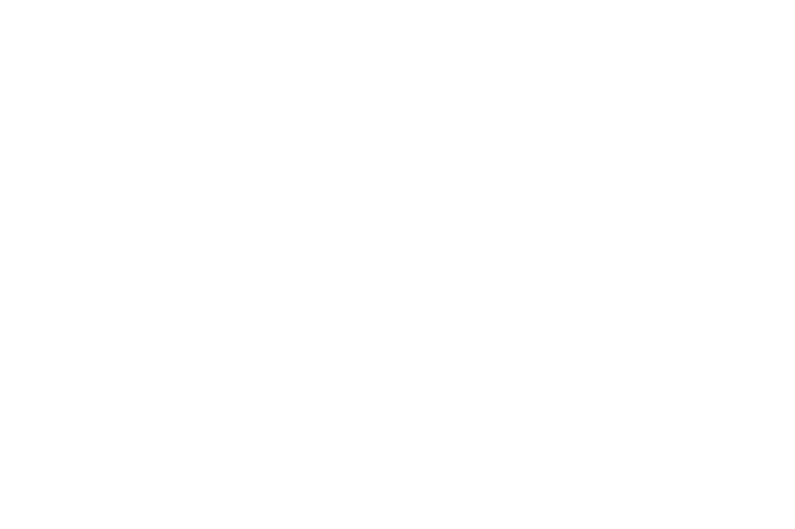 Sarasota Screen Enclosures Logo