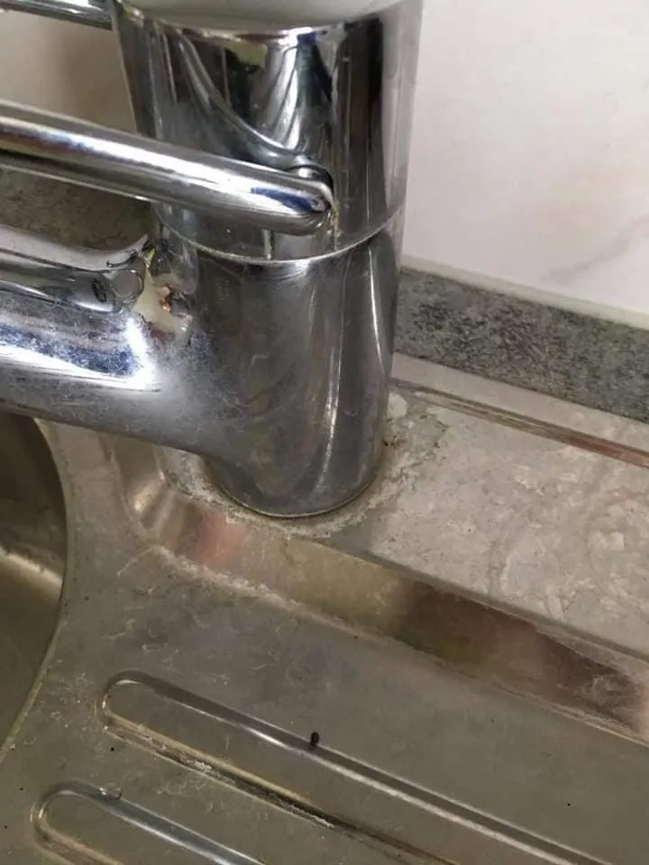 Wasserhahn Küche verkalkt