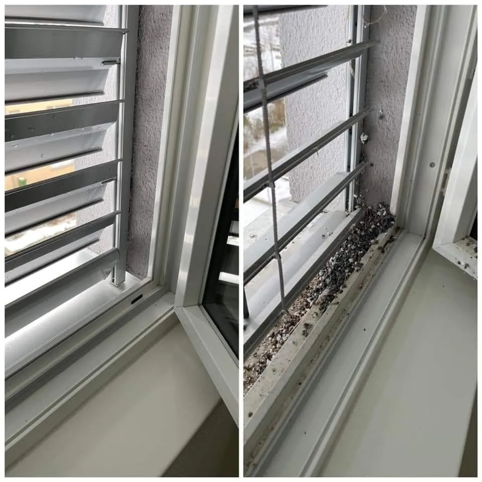 Rechts verdrektes Fenster/Jalousieen. Links sauber