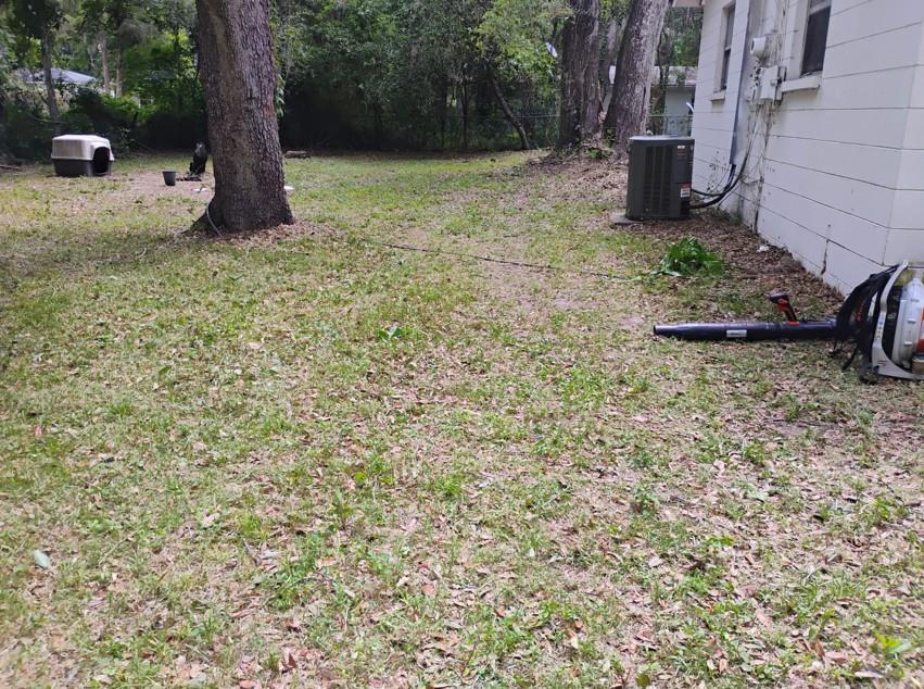 Freshly mowed side yard
