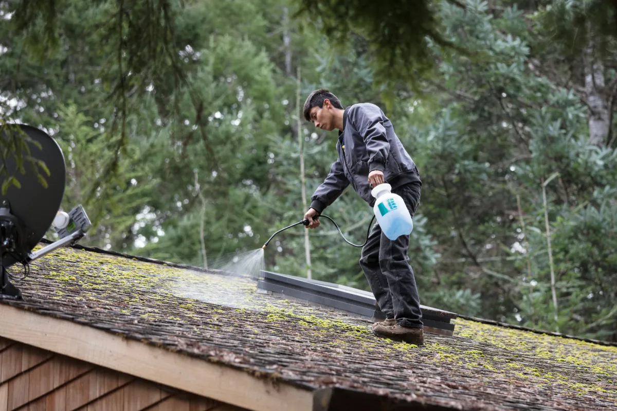 roof cleaning