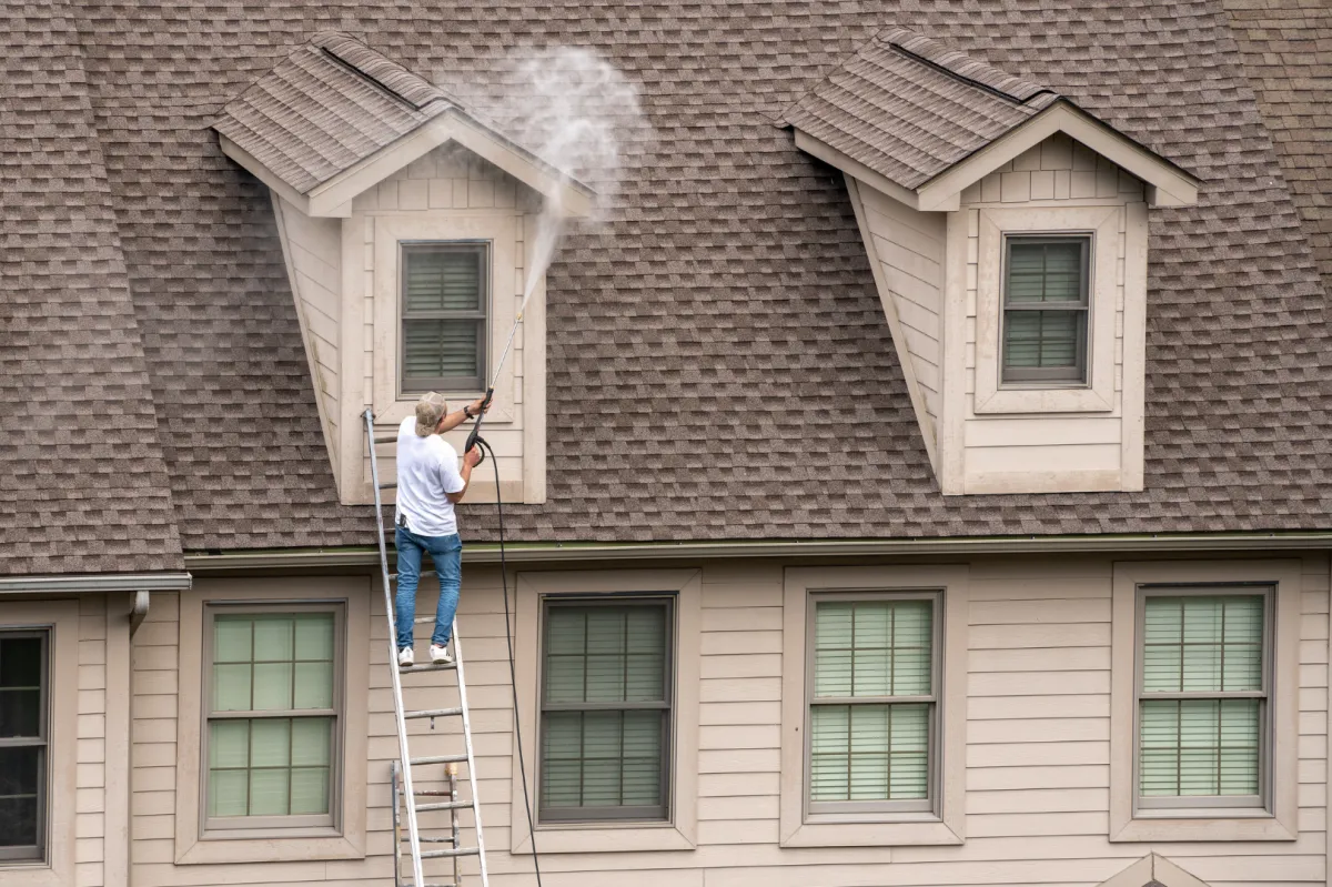 roof cleaning