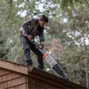 gutter cleaning