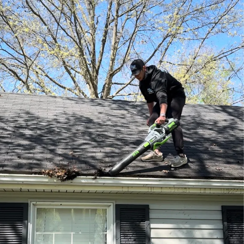 gutter cleaning