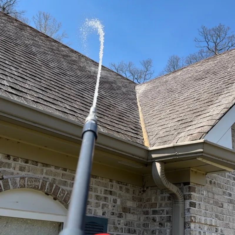 roof cleaning