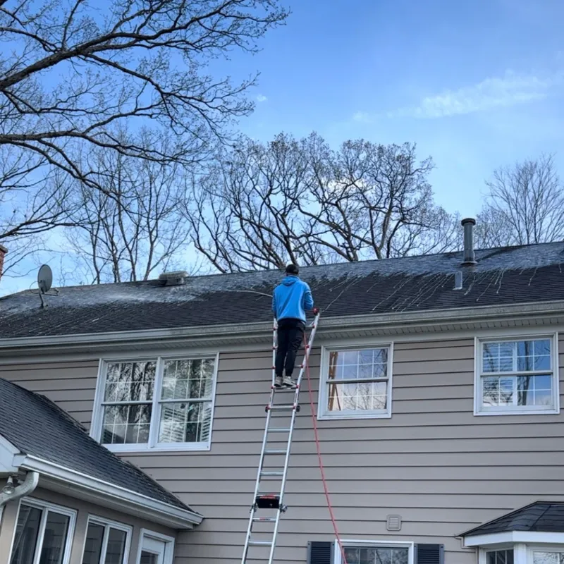 roof cleaning