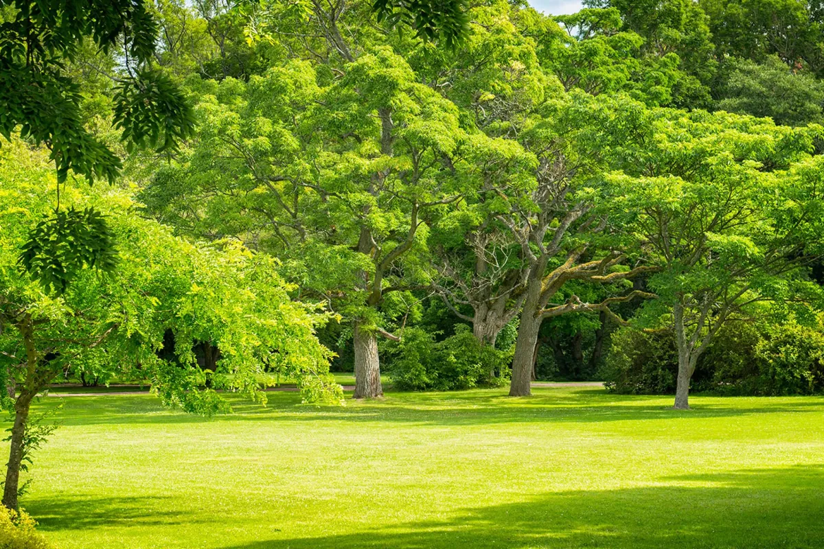 wooden house over body of water near moutain